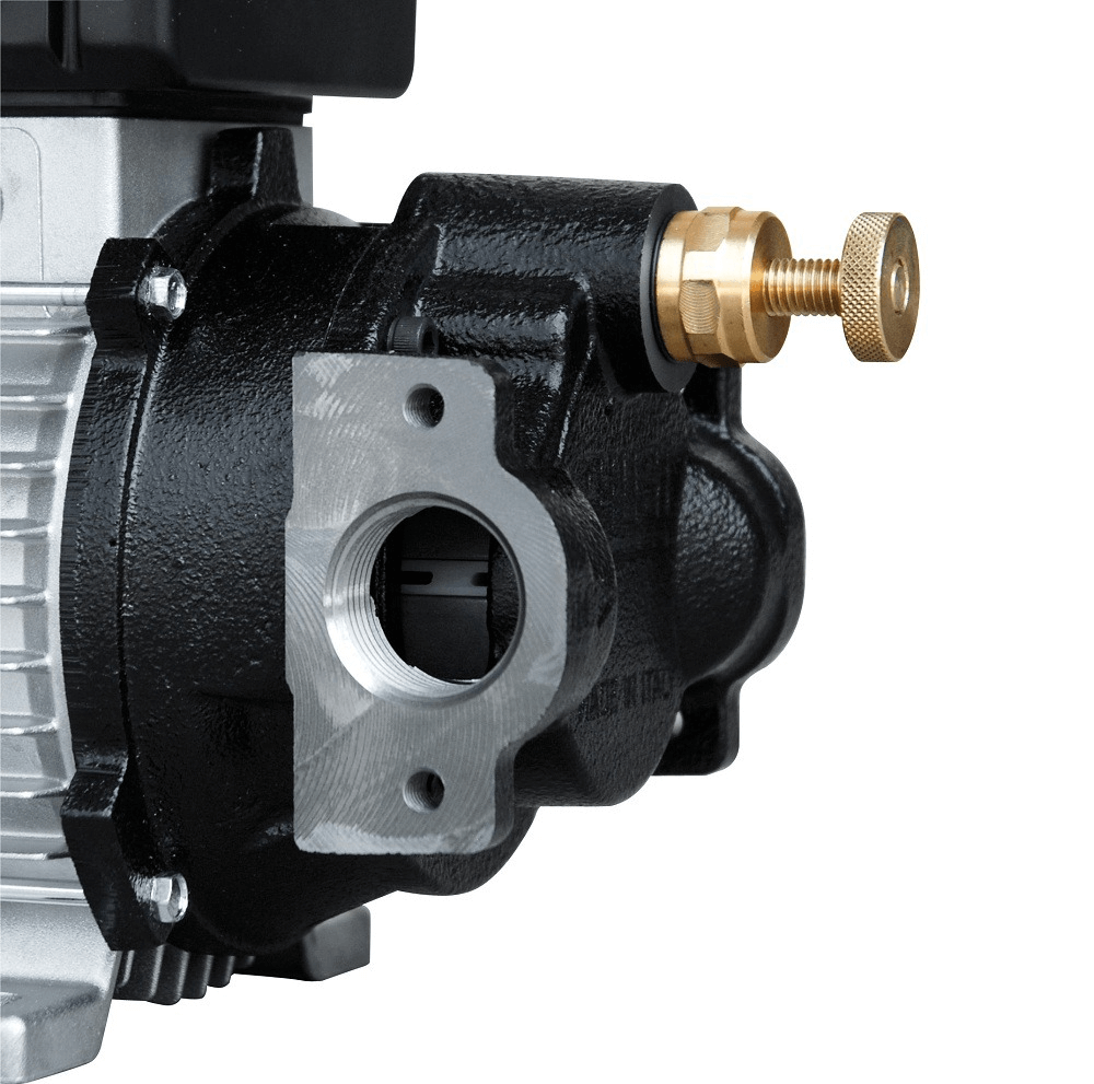 Pompa transfer ulei Viscomat 70 220V PIUSI